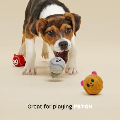 Show full view: BARK Moderate Beastie Balls Squeaky Plush Dog Toys, Medium slide 4 of 9