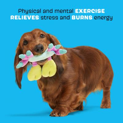 Show full view: BARK Moe The Mosaic Crab Squeaky Plush Dog Toy, X-Small slide 4 of 9