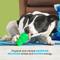 Show in main carousel: BARK Munchie the Bear Treat Dispensing Bouncing Tough Dog Chew Toy, Green slide 4 of 8
