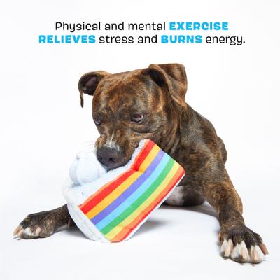 Show full view: BARK Peace of Cake Squeaky Plush Dog Chew Toy slide 3 of 9