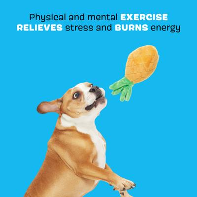 Show full view: BARK Penny the Pineapple Rip & Reveal Squeaky Plush Dog Toy, Brown, Large slide 3 of 8