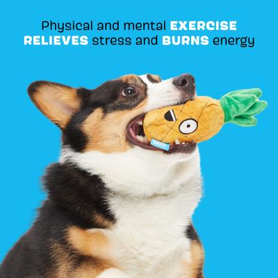 Show full view: BARK Penny the Pineapple Rip & Reveal Squeaky Plush Dog Toy, Brown, Small slide 3 of 8