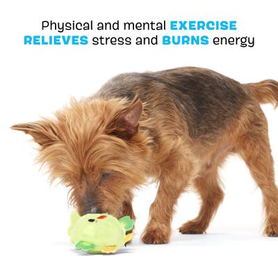 Show full view: BARK Piper Parrot Hard Core Tough Dog Chew Toy, Green, Small slide 3 of 8