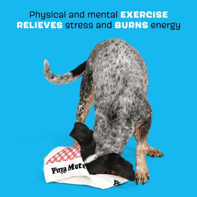 Show full view: BARK Pizza Pawty Multi-Part Squeaky Plush Dog Toy slide 3 of 9