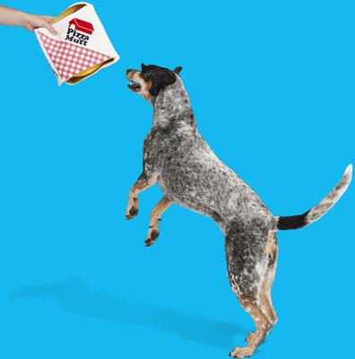 Show full view: BARK Pizza Pawty Multi-Part Squeaky Plush Dog Toy slide 6 of 9