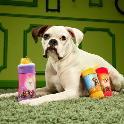 Show full view: BARK Player Candles Multi-Part Squeaky Plush Dog Toy, Medium/Large slide 5 of 9