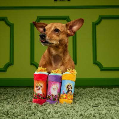 Show full view: BARK Player Candles Multi-Part Squeaky Plush Dog Toy, X-Small/Small slide 5 of 9