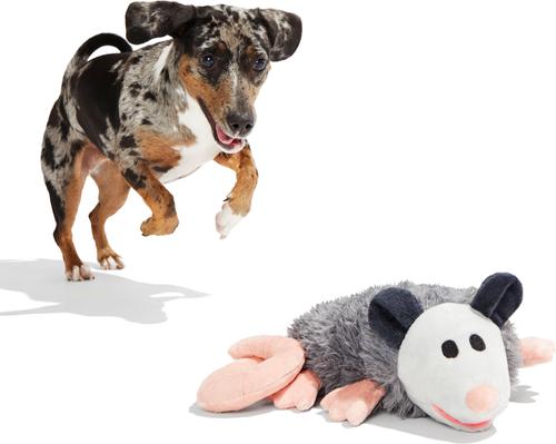 Show full view: BARK Poppy Possum Thrasher Squeaky Plush Dog Toy, Grey slide 4 of 8