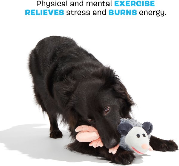 Show full view: BARK Poppy Possum Thrasher Squeaky Plush Dog Toy, Grey slide 3 of 8