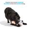 Show in main carousel: BARK Poppy Possum Thrasher Squeaky Plush Dog Toy, Grey slide 3 of 8