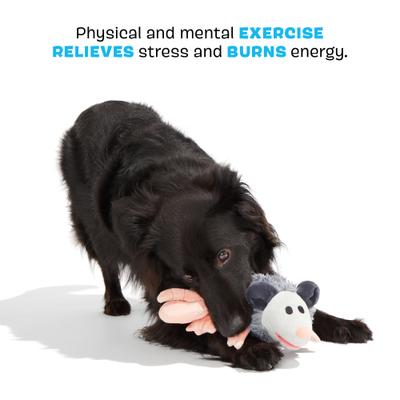 Show full view: BARK Poppy Possum Thrasher Squeaky Plush Dog Toy, Grey slide 3 of 8