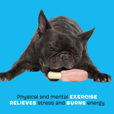 Show full view: BARK Pork Chomp Tough Dog Chew Toy, Pink, Medium slide 3 of 8