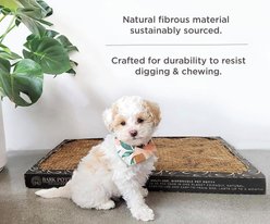 Bark Potty Natural Disposable Dog & Cat Potty Pad, Unscented, 20 x 30-in slide 2 of 7