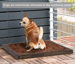 Bark Potty Natural Disposable Dog Potty Pad, 20x30-in slide 2 of 9