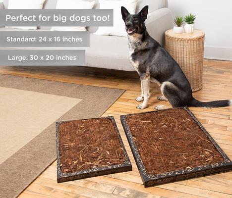 Show full view: Bark Potty Natural Disposable Dog Potty Pad, 20x30-in slide 4 of 14