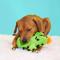 Show in main carousel: BARK Prickly Pete Rip & Reveal Squeaky Plush Dog Chew Toy, Green slide 5 of 8