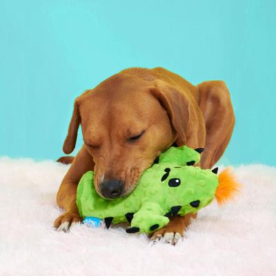 Show full view: BARK Prickly Pete Rip & Reveal Squeaky Plush Dog Chew Toy, Green slide 5 of 8