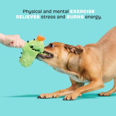 Show full view: BARK Prickly Pete Rip & Reveal Squeaky Plush Dog Chew Toy, Green slide 3 of 8