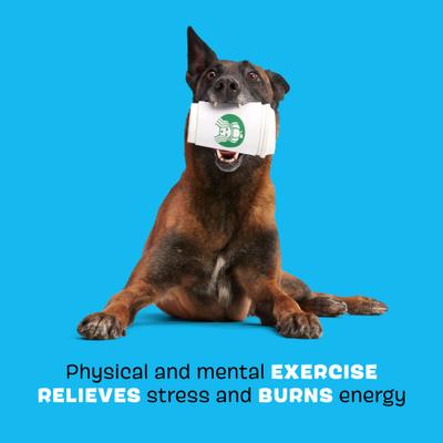 Show full view: BARK Pupkin Spice Yappucino Tough Treat Dispensing Dog Chew Toy, White, Medium slide 3 of 8