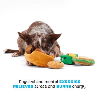 Show full view: BARK Quick Lick Picnic Multi-Part Squeaky Plush Dog Toy, Medium/Large slide 3 of 8