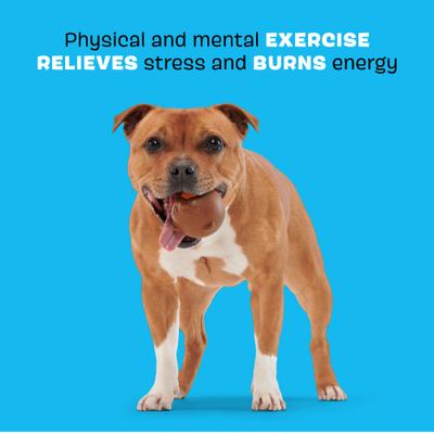 Show full view: BARK Ricochet the Nutria Tough Dog Chew Toy, Brown, Large slide 3 of 8