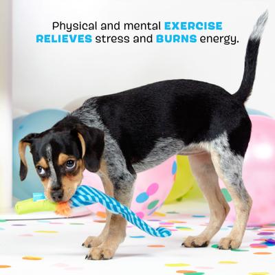 Show full view: BARK Roll Over Party Blower Whip & Flip Plush Dog Toy slide 4 of 9