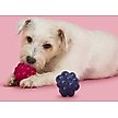 Show in main carousel: BARK Ruffberry Blast Tough Treat Dispensing Dog Chew Toy, Small slide 6 of 9