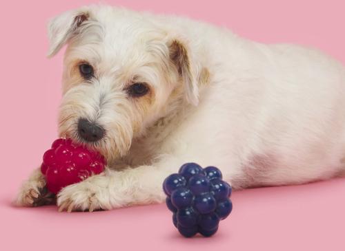 Show full view: BARK Ruffberry Blast Tough Treat Dispensing Dog Chew Toy, Small slide 6 of 9