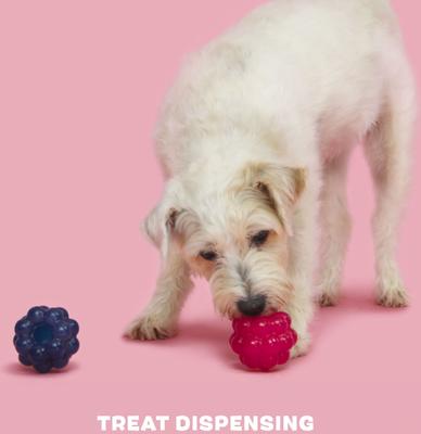 Show full view: BARK Ruffberry Blast Tough Treat Dispensing Dog Chew Toy, Small slide 4 of 9