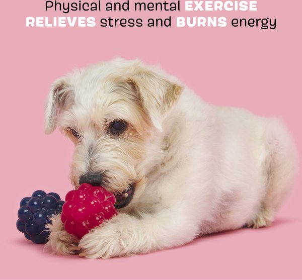 Show full view: BARK Ruffberry Blast Tough Treat Dispensing Dog Chew Toy, Small slide 3 of 9