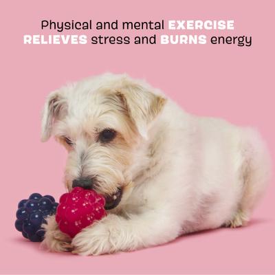 Show full view: BARK Ruffberry Blast Tough Treat Dispensing Dog Chew Toy, Small slide 3 of 9