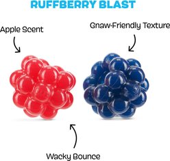 BARK Ruffberry Blast Tough Treat Dispensing Dog Chew Toy, Small slide 2 of 8
