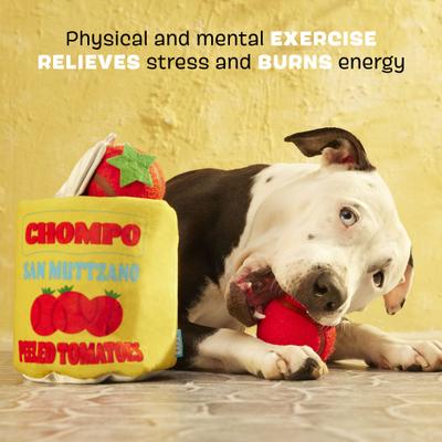 Show full view: BARK San Muttzano Tomatoes Squeaky Ball Plush Dog Toy, Red, Small slide 3 of 9