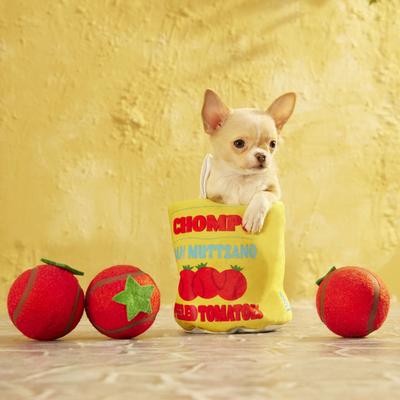 Show full view: BARK San Muttzano Tomatoes Squeaky Ball Plush Dog Toy, Red, Small slide 6 of 9