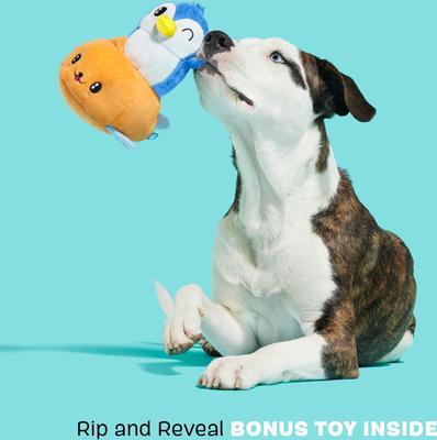 Show full view: BARK Santiago Seal Rip & Reveal Crinkle Squeaky Plush Dog Toy, Orange slide 4 of 8