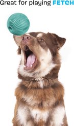 BARK Sea Foam Reef Ball Tough Treat Dispensing Dog Toy, Teal, Large slide 2 of 7