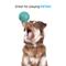 Show in main carousel: BARK Sea Foam Reef Ball Tough Treat Dispensing Dog Toy, Teal, Large slide 4 of 8