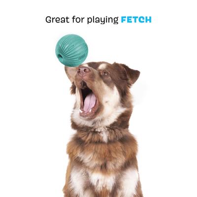 Show full view: BARK Sea Foam Reef Ball Tough Treat Dispensing Dog Toy, Teal, Large slide 4 of 8