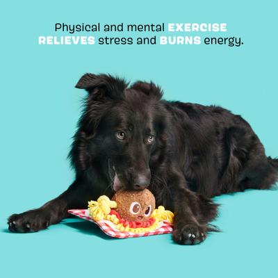 Show full view: BARK Spaghetti & Muttball Rope Squeaky Plush Dog Chew Toy slide 3 of 8