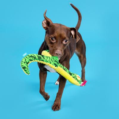 Show full view: BARK Steve Squeaky Plush Snake Dog Toy, Green slide 4 of 7