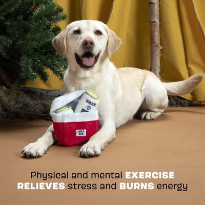 Show full view: BARK Sub-Zero Camping Hero Multi-Part Squeaky Plush Dog Toy, Red, Small slide 3 of 8