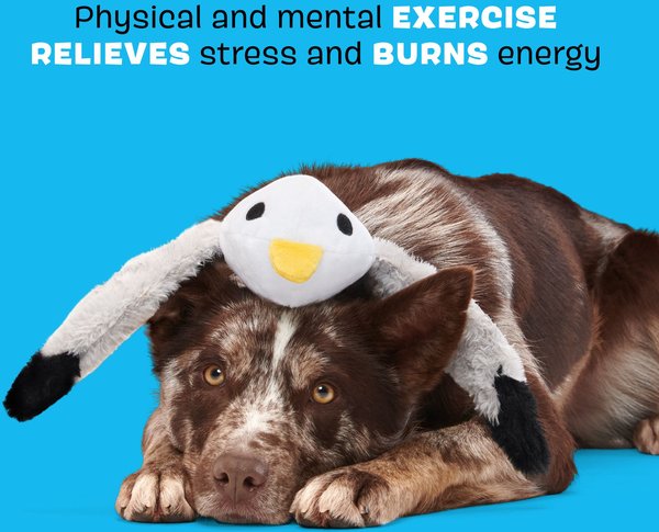 Show full view: BARK Sully the Gully Thrasher Squeaky Plush Dog Tug Toy, Grey slide 3 of 8