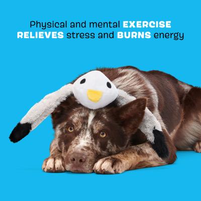 Show full view: BARK Sully the Gully Thrasher Squeaky Plush Dog Tug Toy, Grey slide 4 of 9