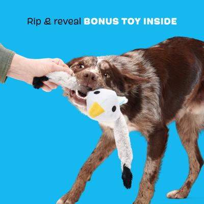 Show full view: BARK Sully the Gully Thrasher Squeaky Plush Dog Tug Toy, Grey slide 5 of 9