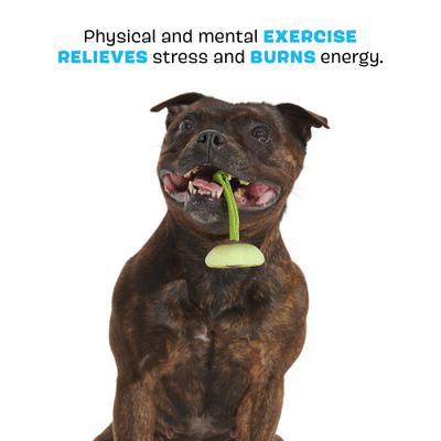 Show full view: BARK Sun Power Tug Tough Dog Rope Tug Toy slide 3 of 8