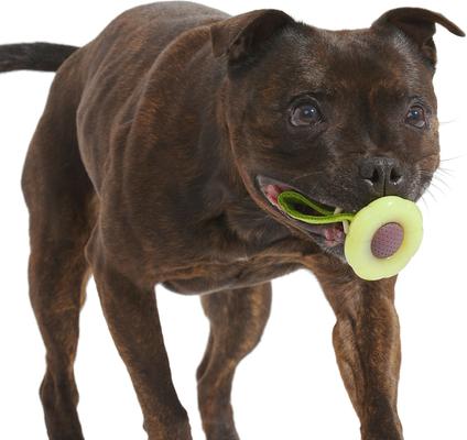 Show full view: BARK Sun Power Tug Tough Dog Rope Tug Toy slide 4 of 8