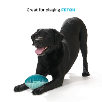 Show full view: BARK Super Chewer Blitz Football Floating Tough Dog Chew Toy, Teal slide 4 of 8