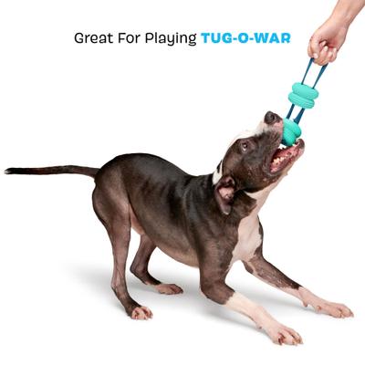 Show full view: BARK Super Chewer Buoy Tug Floating Tough Dog Tug Toy, Teal slide 4 of 8