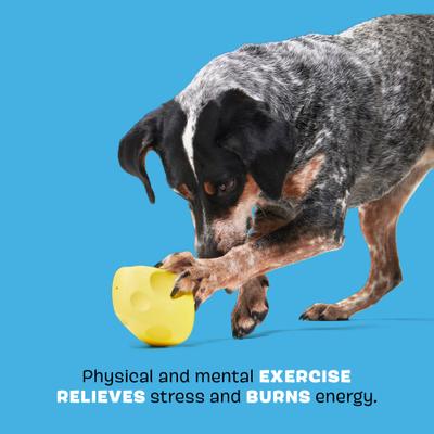 Show full view: BARK Super Chewer Cheese for Aggressive Chewers Squeaky Treat Dispensing Dog Toy, Yellow, Medium slide 4 of 9