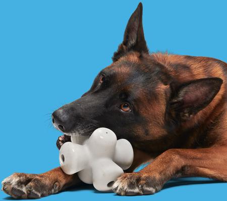 Show full view: BARK Super Chewer Chomping Jacks Tough Squeaky Treat Dispensing Dog Toy, White, Medium/Large slide 4 of 8